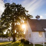 Lloyd Harbor Engagement Session | Long Island Wedding Photographer