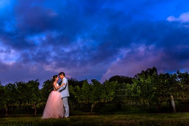 Read more about the article Wedding at The Old Field Vineyard