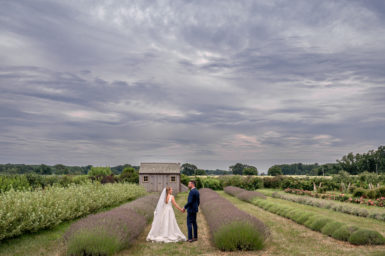 Read more about the article North Fork Wedding at Salt Air Farm & The Dimon Estate