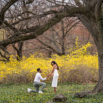 Marriage Proposal at The Planting Fields Arboretum